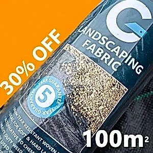 1x100 sale