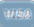 VISA logo